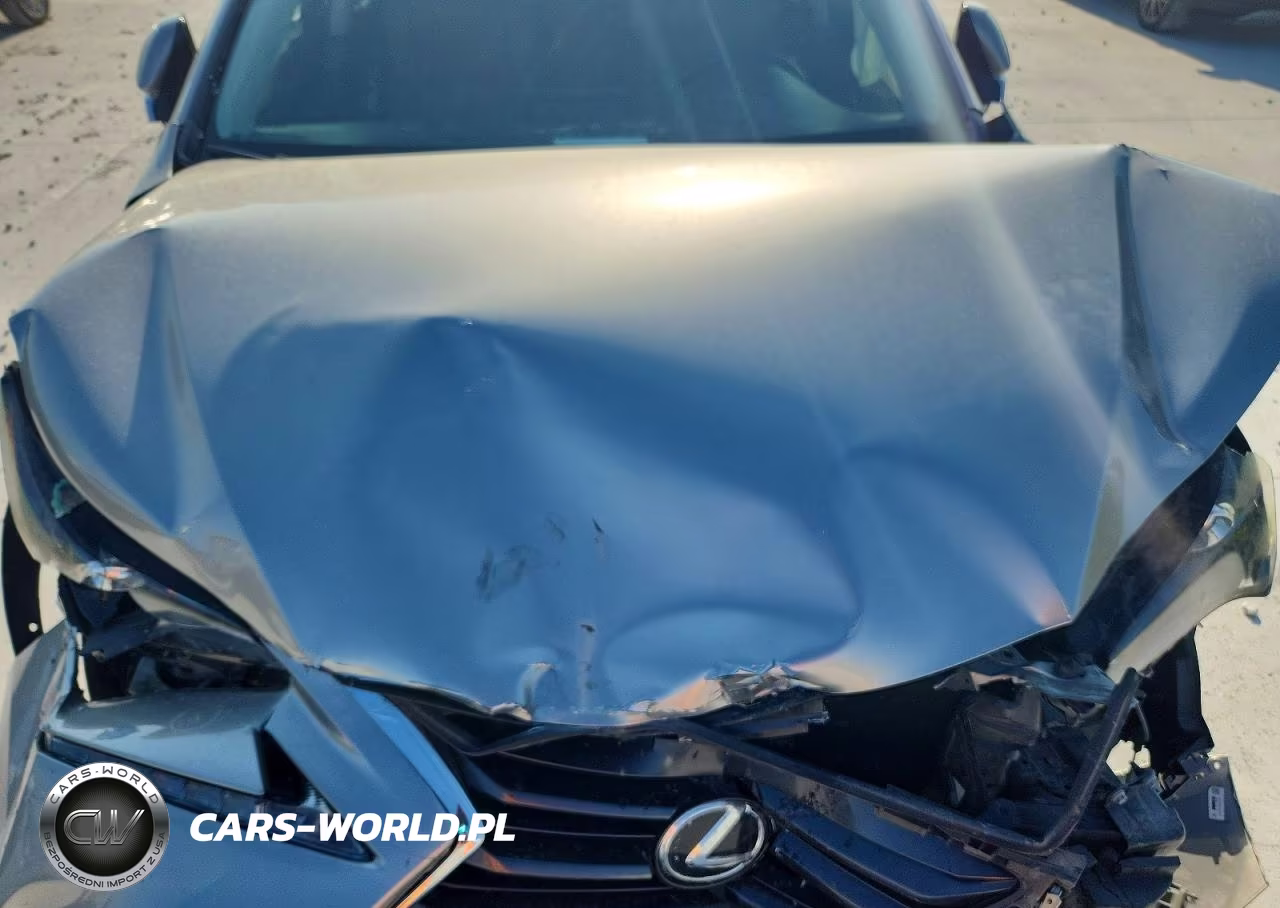 2015 Lexus Nx 200T VIN:JTJYARBZXF2021478 - 12