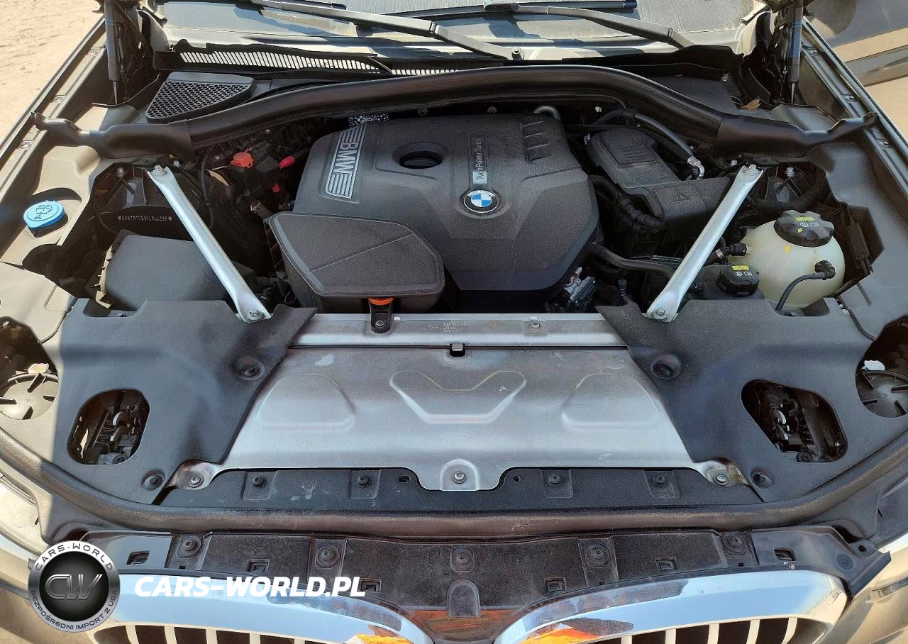 2019 BMW X3 Sdrive30I VIN:5UXTR7C59KLR44298 - 12