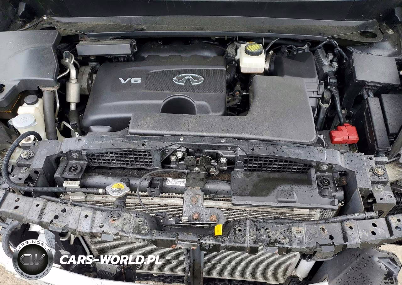 2019 Infiniti Qx60 Pure VIN:5N1DL0MM4KC549560 - 12