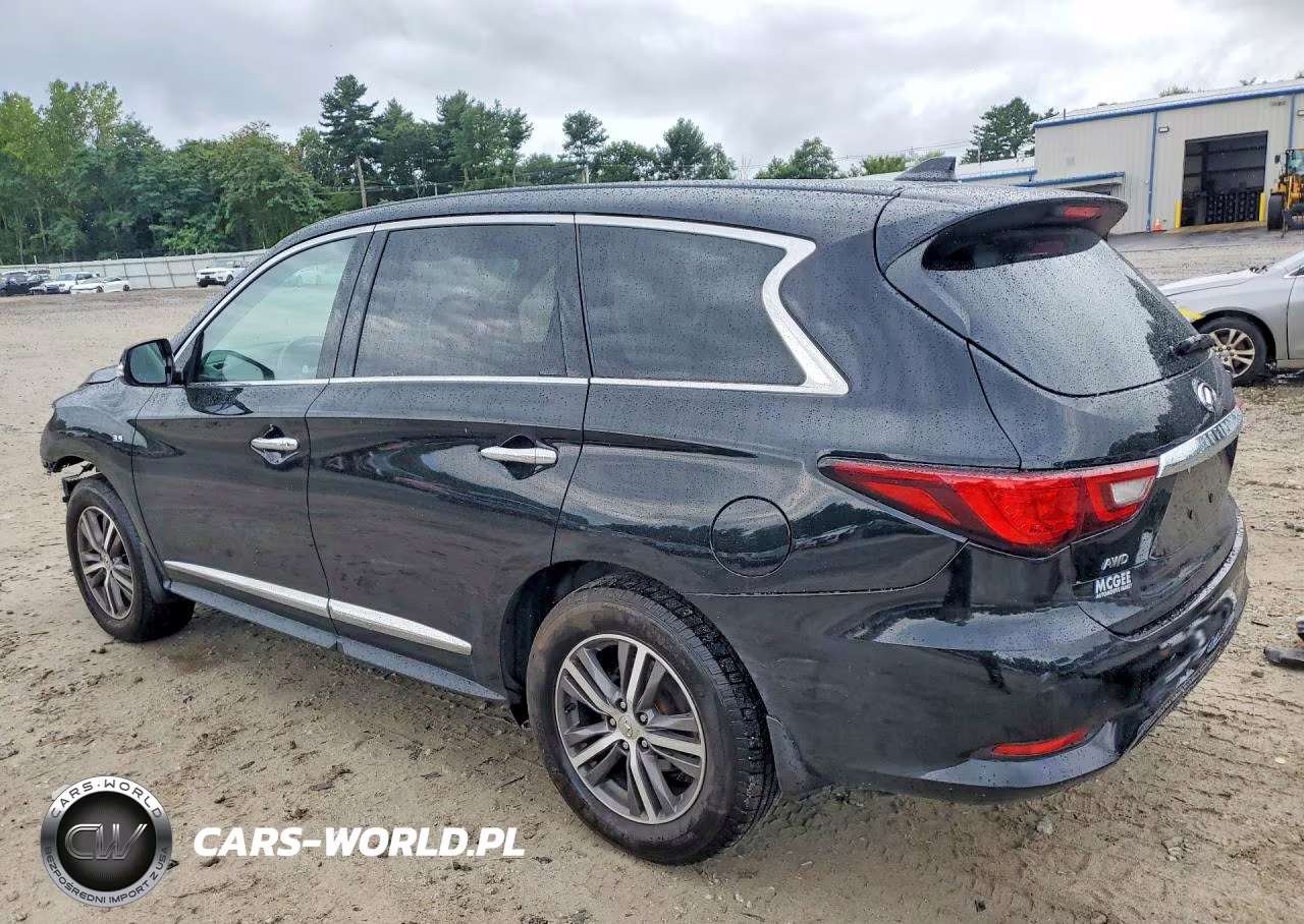 2019 Infiniti Qx60 Pure VIN:5N1DL0MM4KC549560 - 2