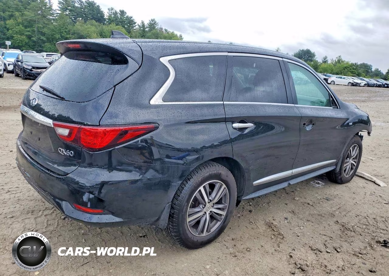 2019 Infiniti Qx60 Pure VIN:5N1DL0MM4KC549560 - 3
