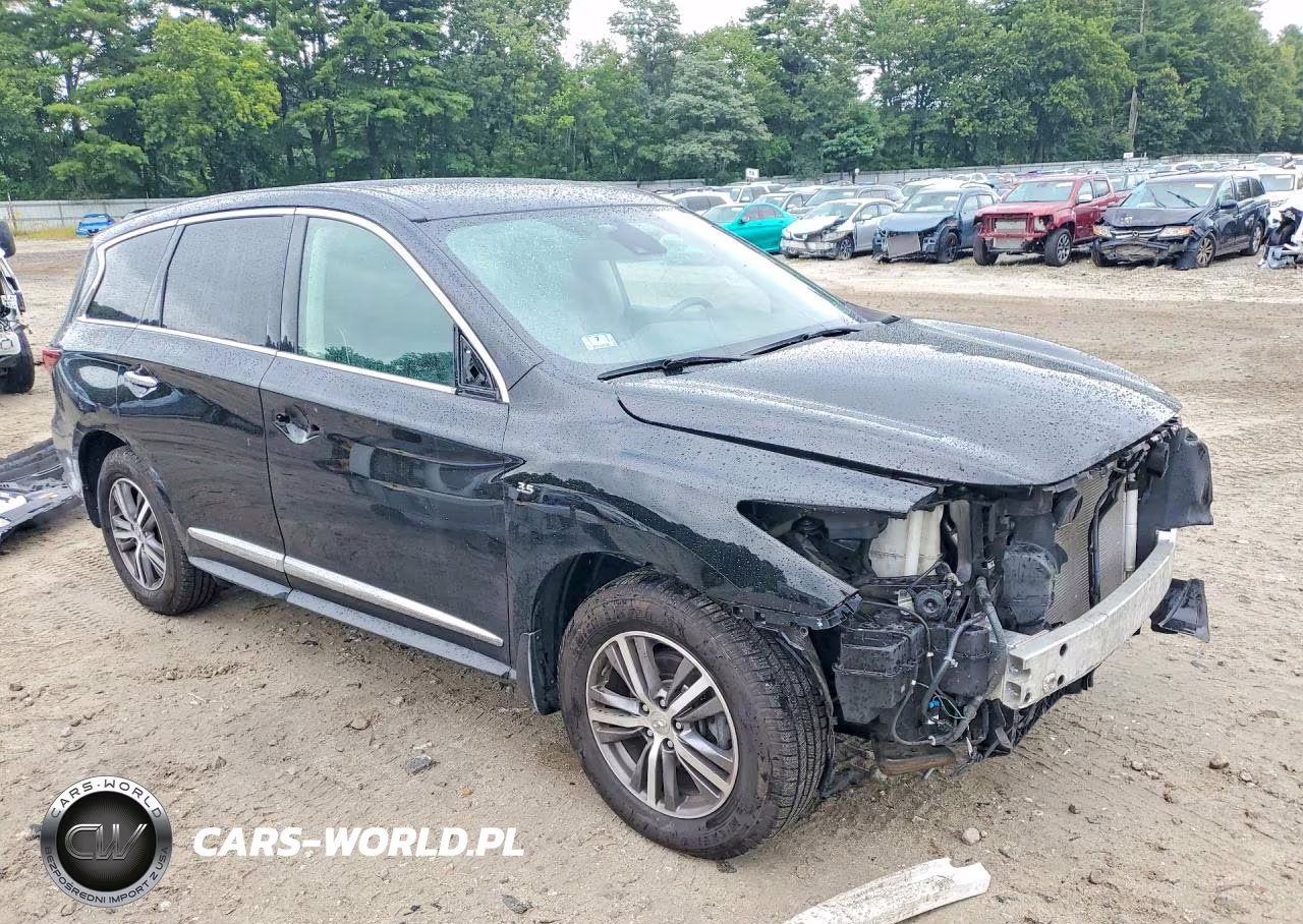2019 Infiniti Qx60 Pure VIN:5N1DL0MM4KC549560 - 4