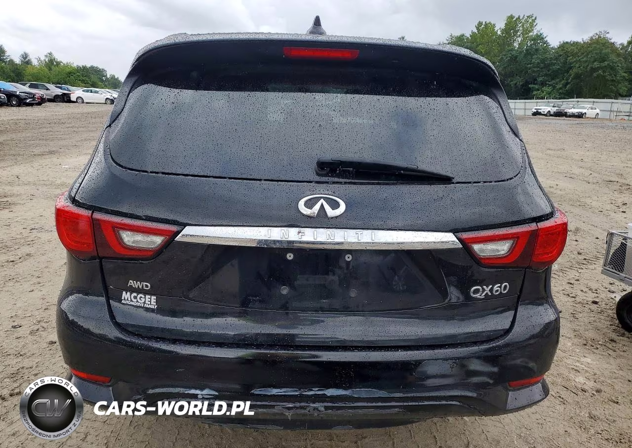 2019 Infiniti Qx60 Pure VIN:5N1DL0MM4KC549560 - 6