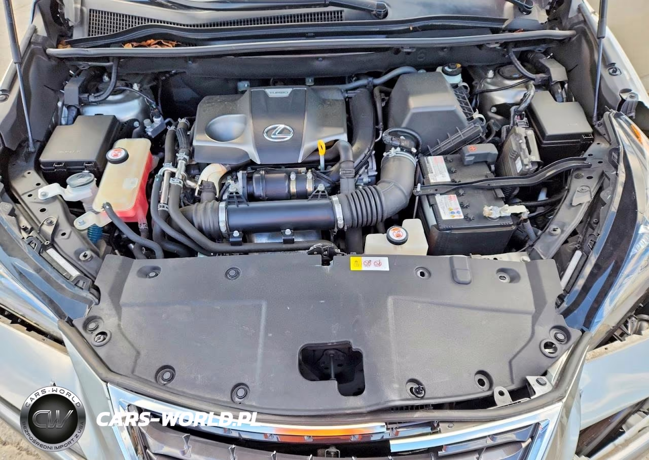 2018 Lexus Nx 300 Base VIN:JTJBARBZ5J2164529 - 12