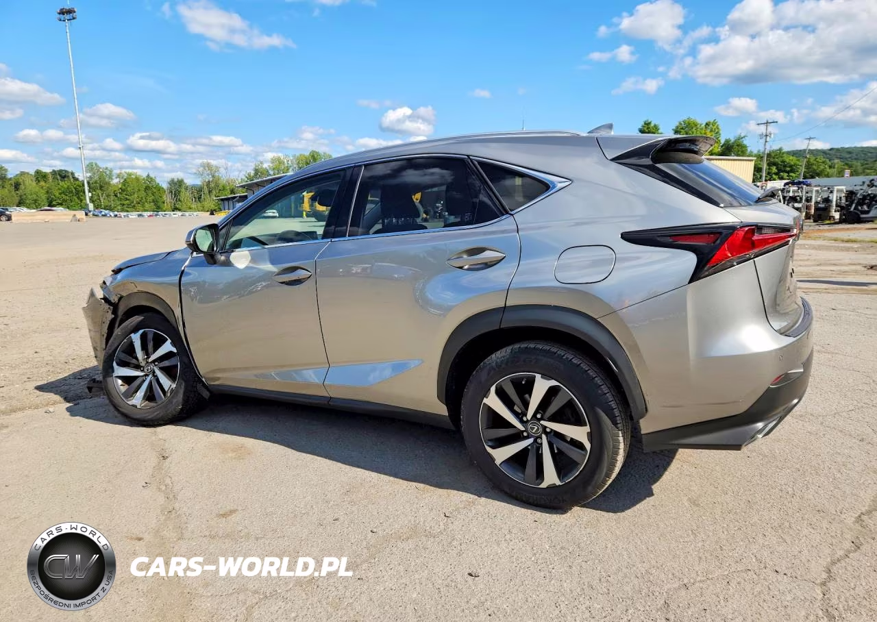 2018 Lexus Nx 300 Base VIN:JTJBARBZ5J2164529 - 2