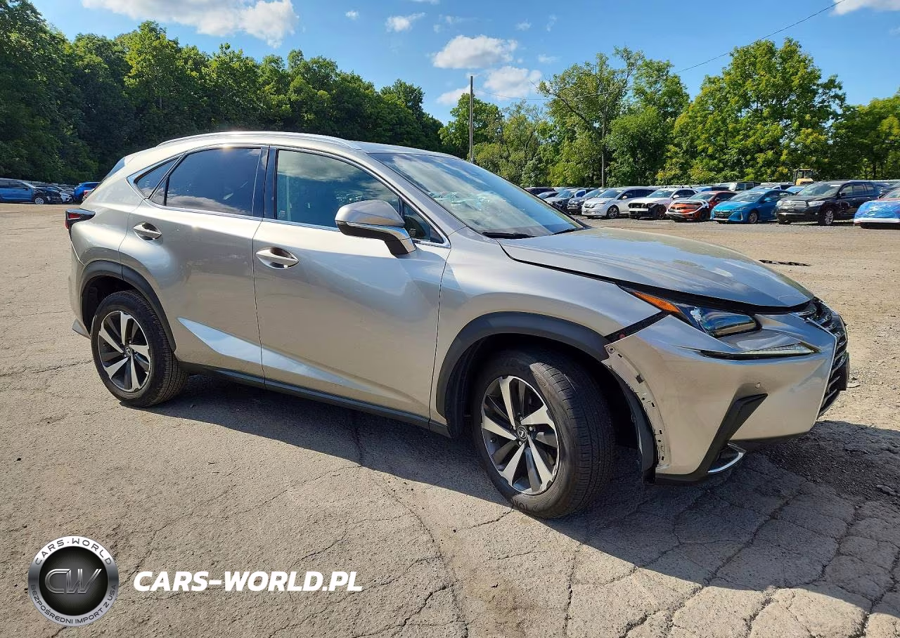 2018 Lexus Nx 300 Base VIN:JTJBARBZ5J2164529 - 4