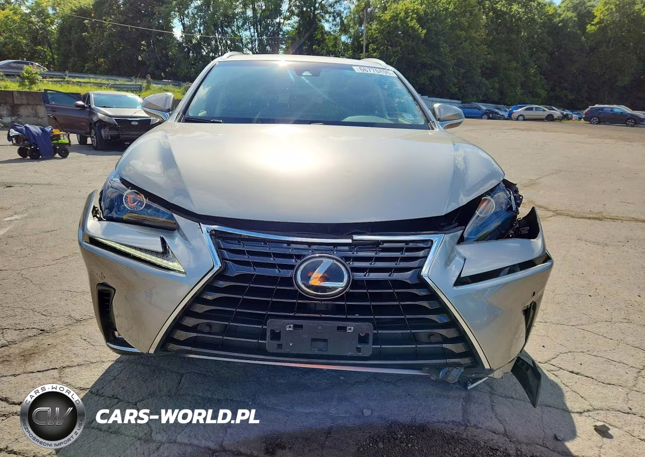 2018 Lexus Nx 300 Base VIN:JTJBARBZ5J2164529 - 5