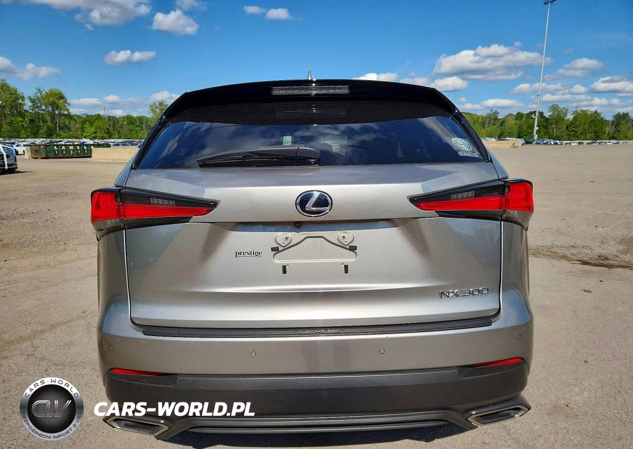 2018 Lexus Nx 300 Base VIN:JTJBARBZ5J2164529 - 6