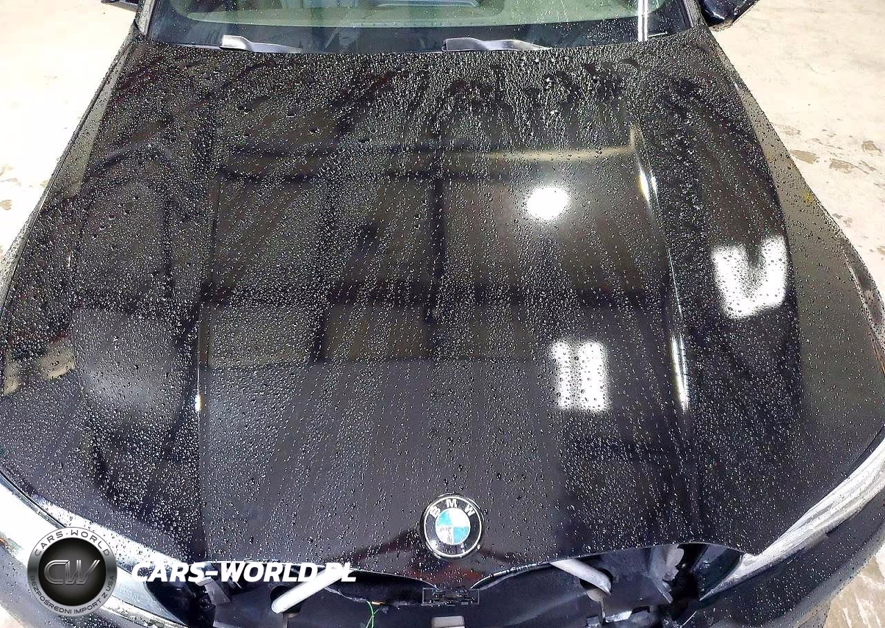 2019 BMW 330I VIN:WBA5R1C54KAK11334 - 11