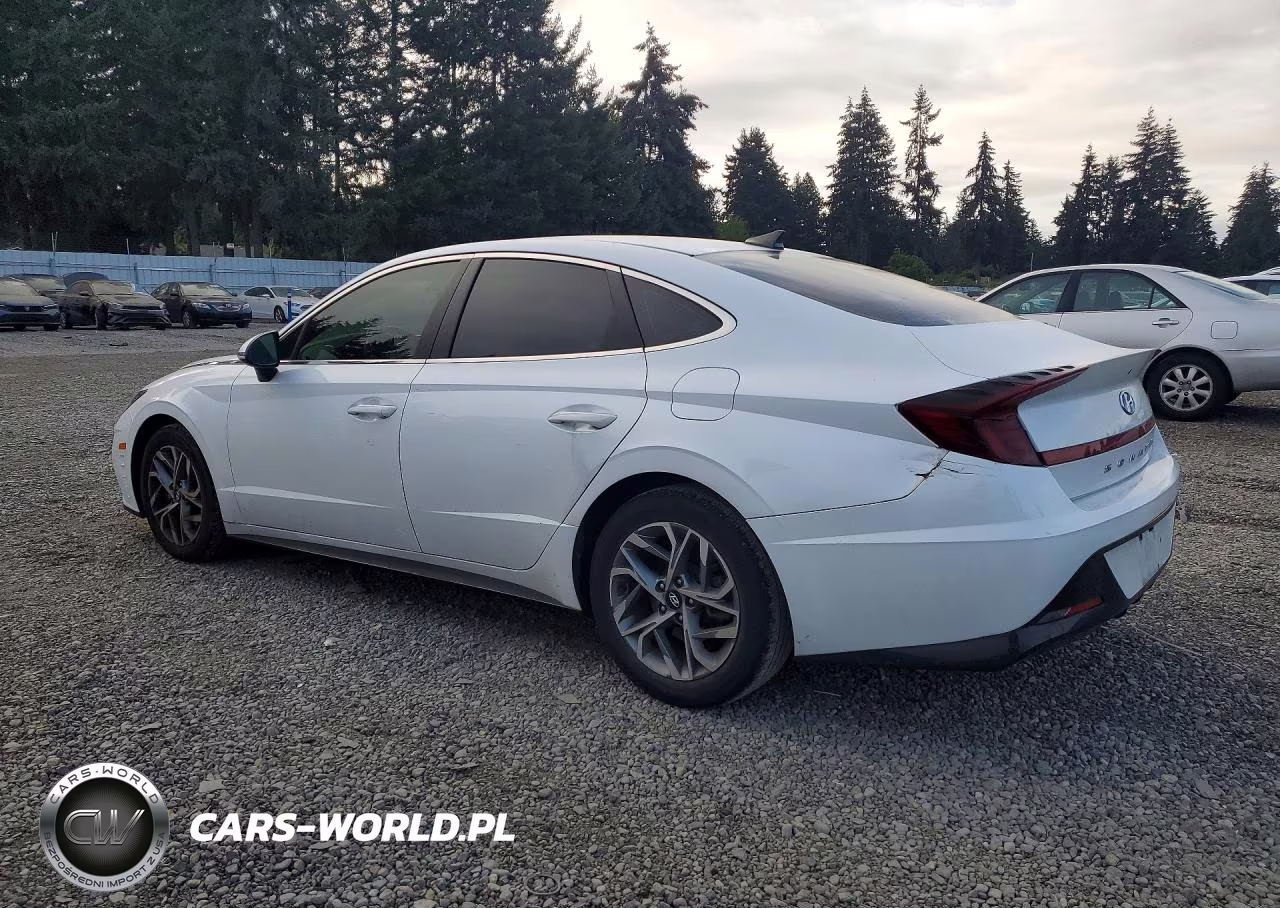 2020 Hyundai Sonata Sel VIN:5NPEF4JA7LH002810 - 2