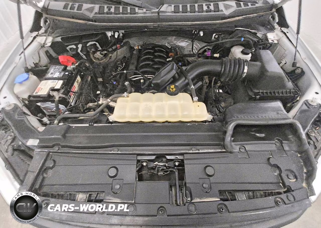 2019 Ford F150 Supercrew VIN:1FTEW1E52KKC92224 - 11