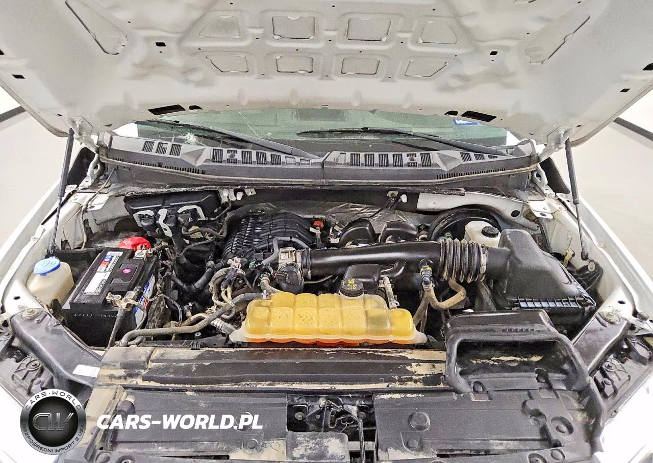 2019 Ford F150 VIN:1FTMF1CB3KKD48143 - 11