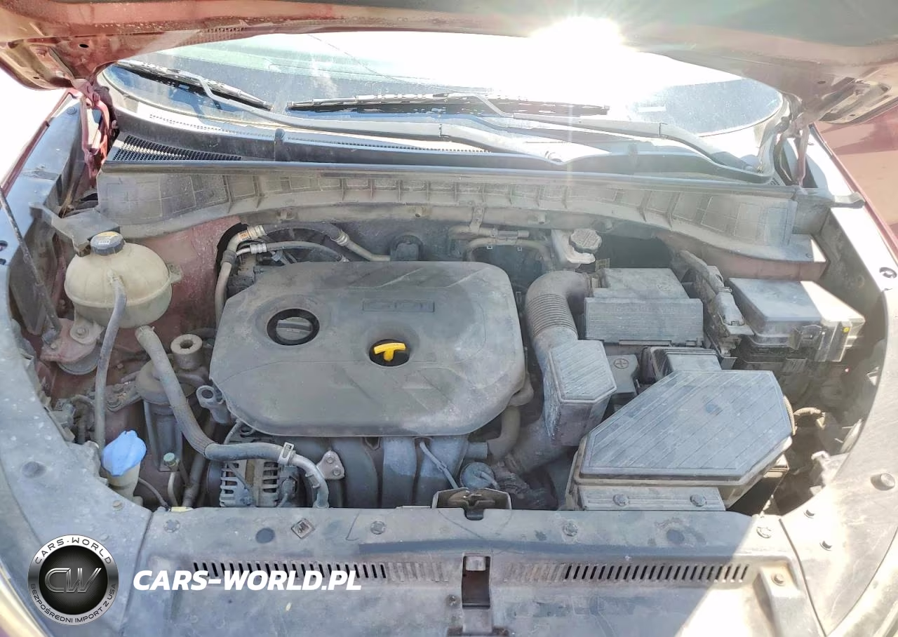 2016 Hyundai Tucson Se VIN:KM8J33A46GU026924 - 12