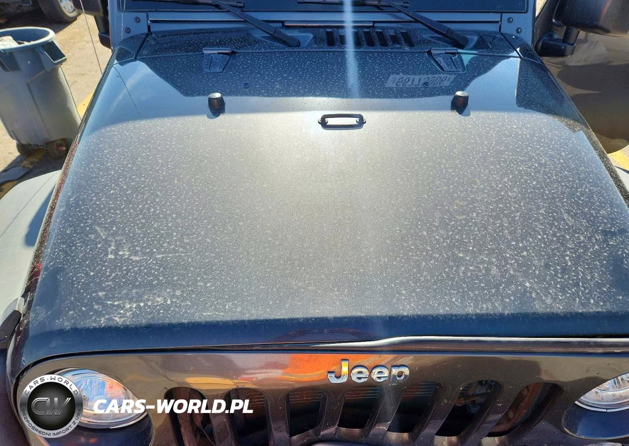 2017 Jeep Wrangler Unlimited Rubicon VIN:1C4BJWFG5HL626859 - 11