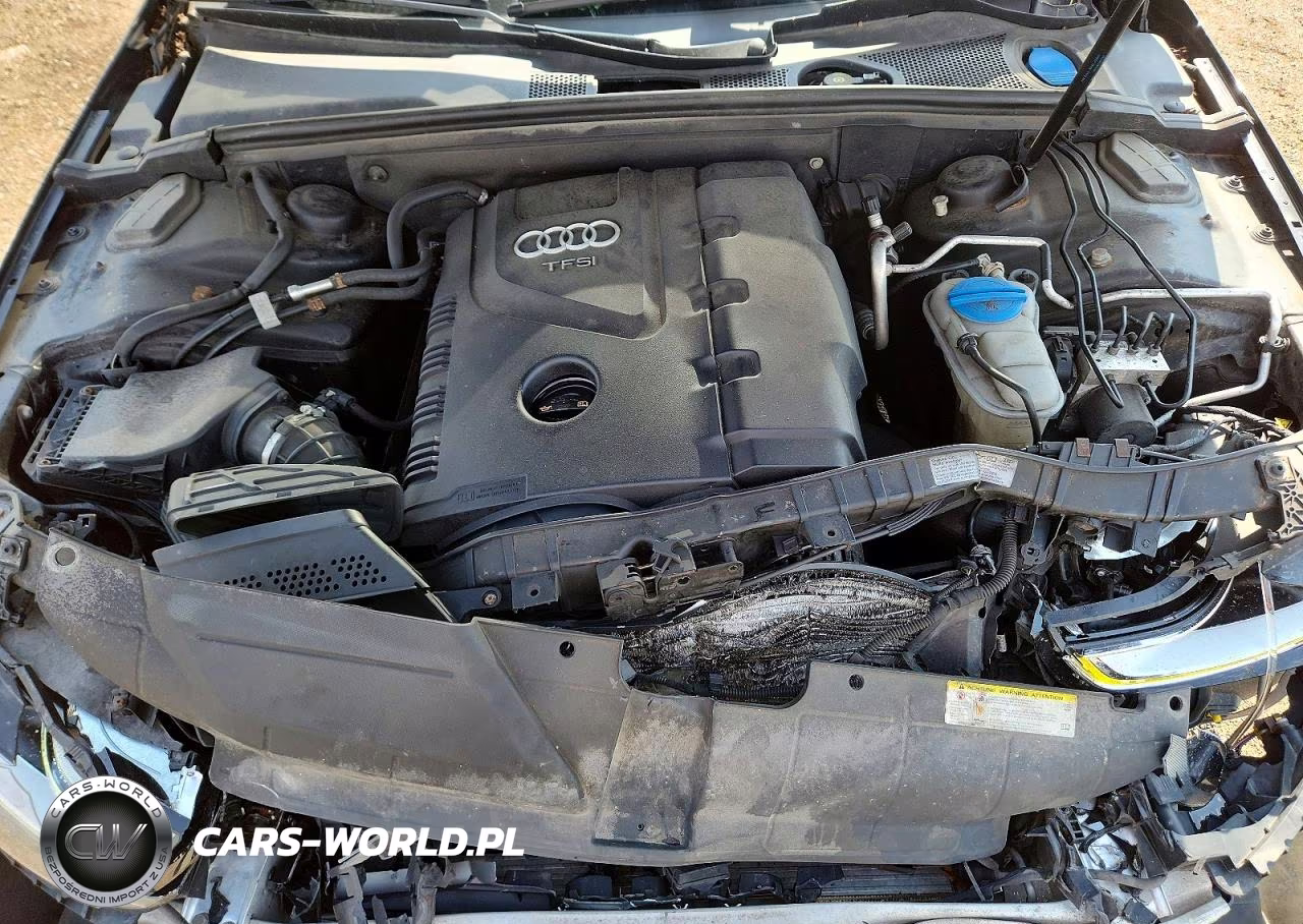 2013 Audi A4 Premium Plus VIN:WAUFFAFL3DN005909 - 11