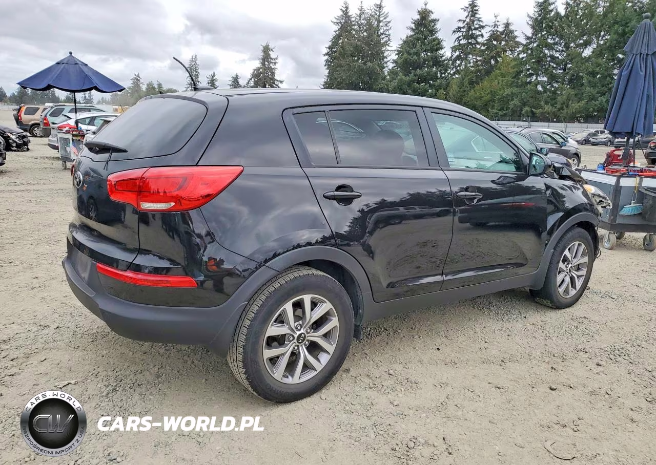 2016 Kia Sportage Lx VIN:KNDPB3AC8G7841875 - 3