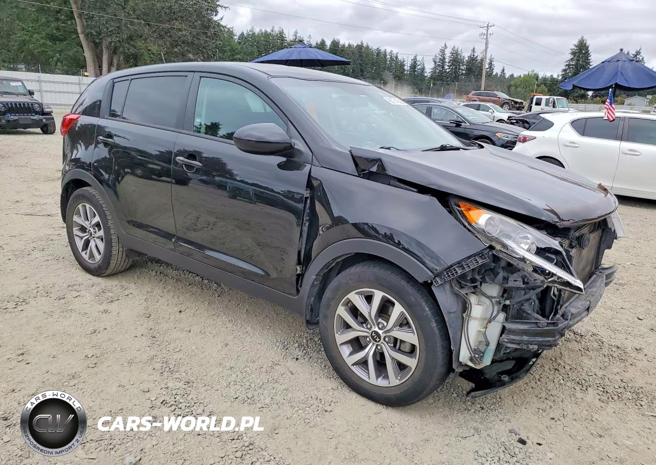 2016 Kia Sportage Lx VIN:KNDPB3AC8G7841875 - 4