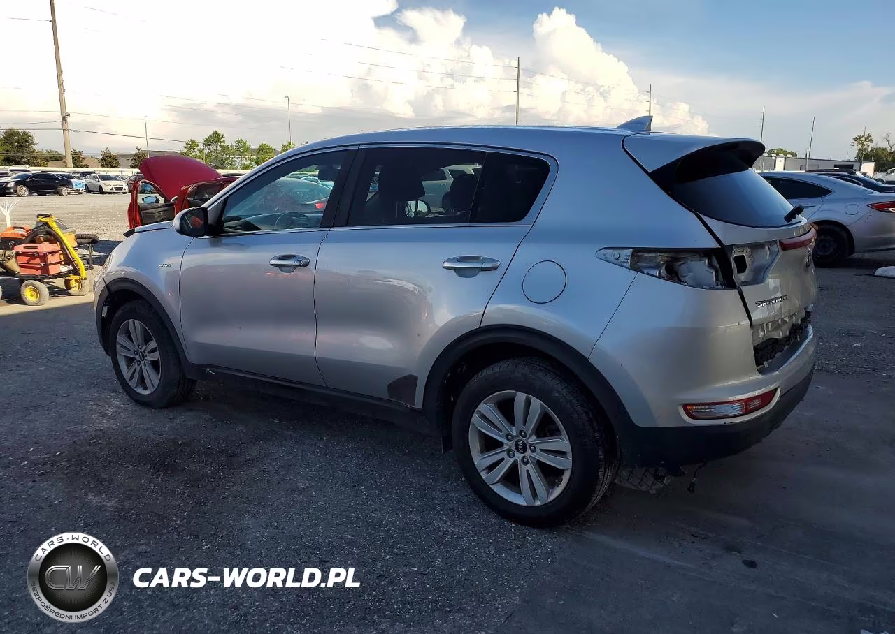 2019 Kia Sportage Lx VIN:KNDPMCAC8K7531857 - 2