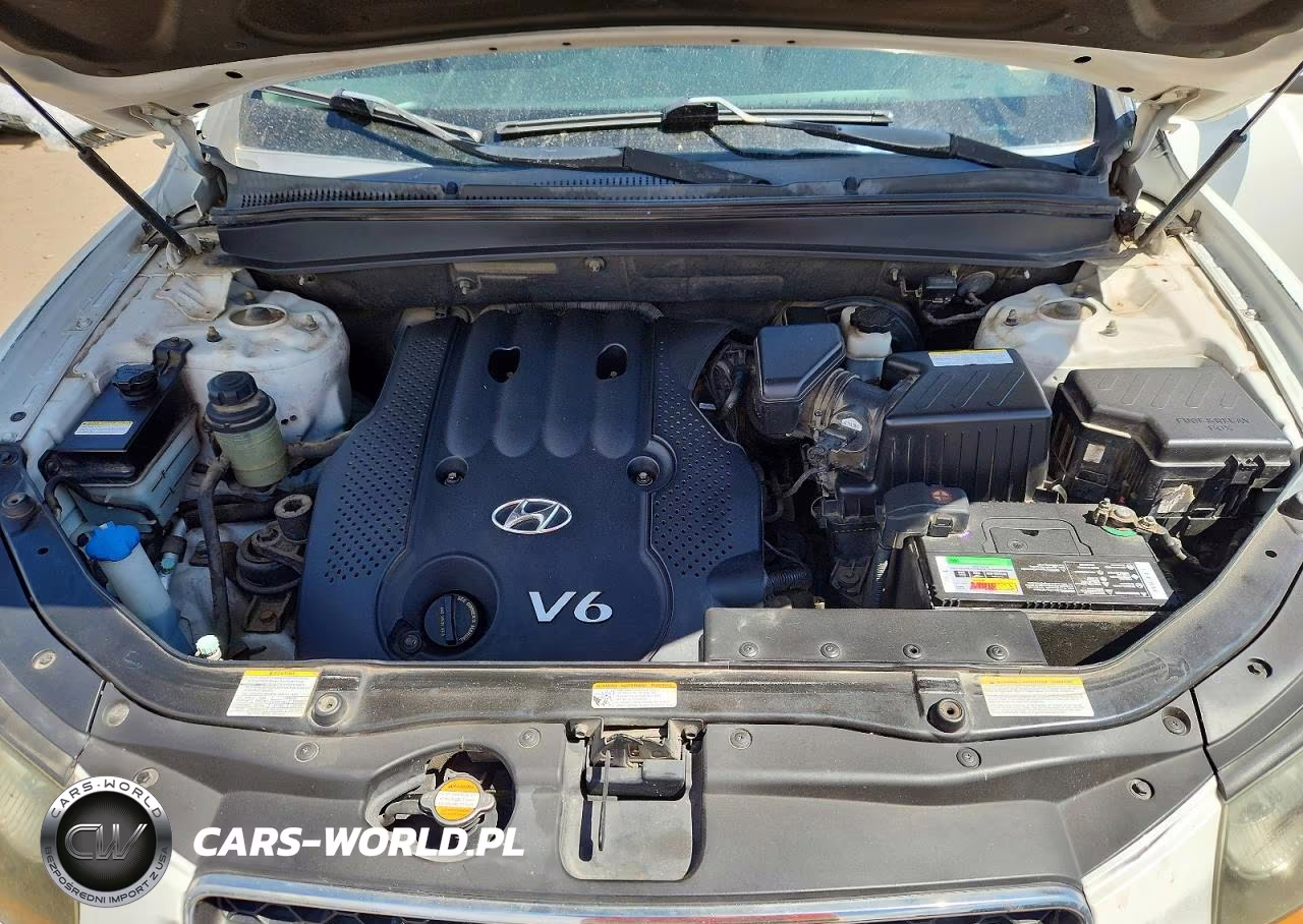 2007 Hyundai Santa Fe Gls VIN:5NMSG73D07H075206 - 11