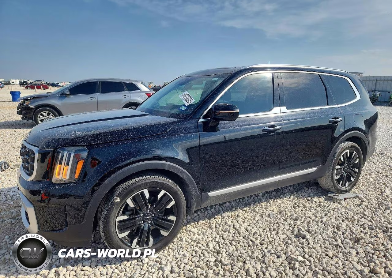 2023 Kia Telluride Sx VIN:5XYP54GC9PG354949 - 1