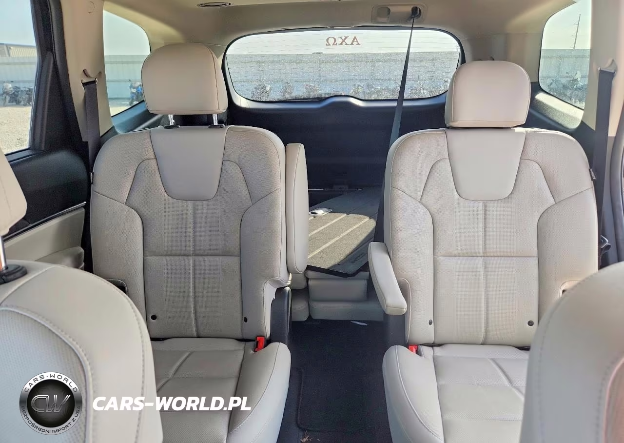 2023 Kia Telluride Sx VIN:5XYP54GC9PG354949 - 10