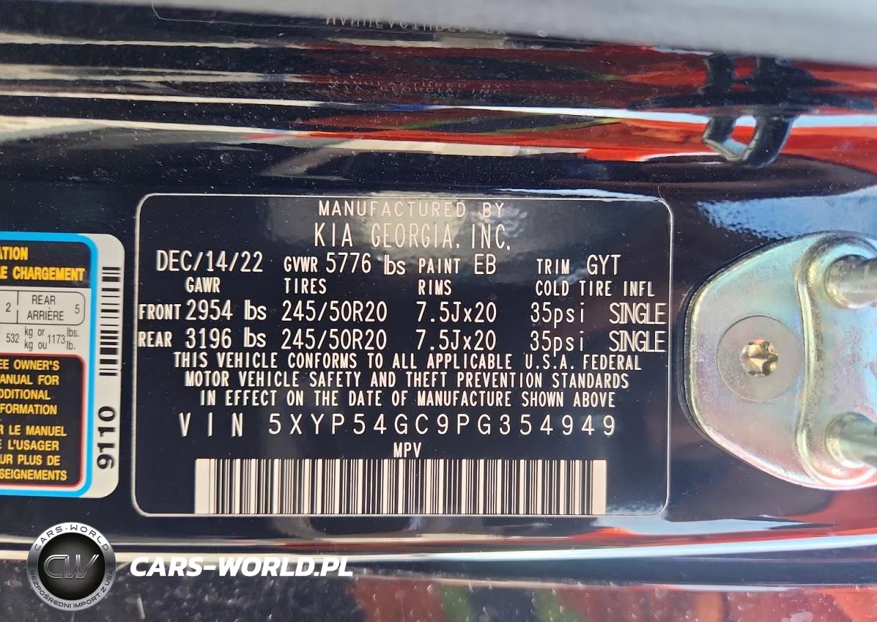 2023 Kia Telluride Sx VIN:5XYP54GC9PG354949 - 13