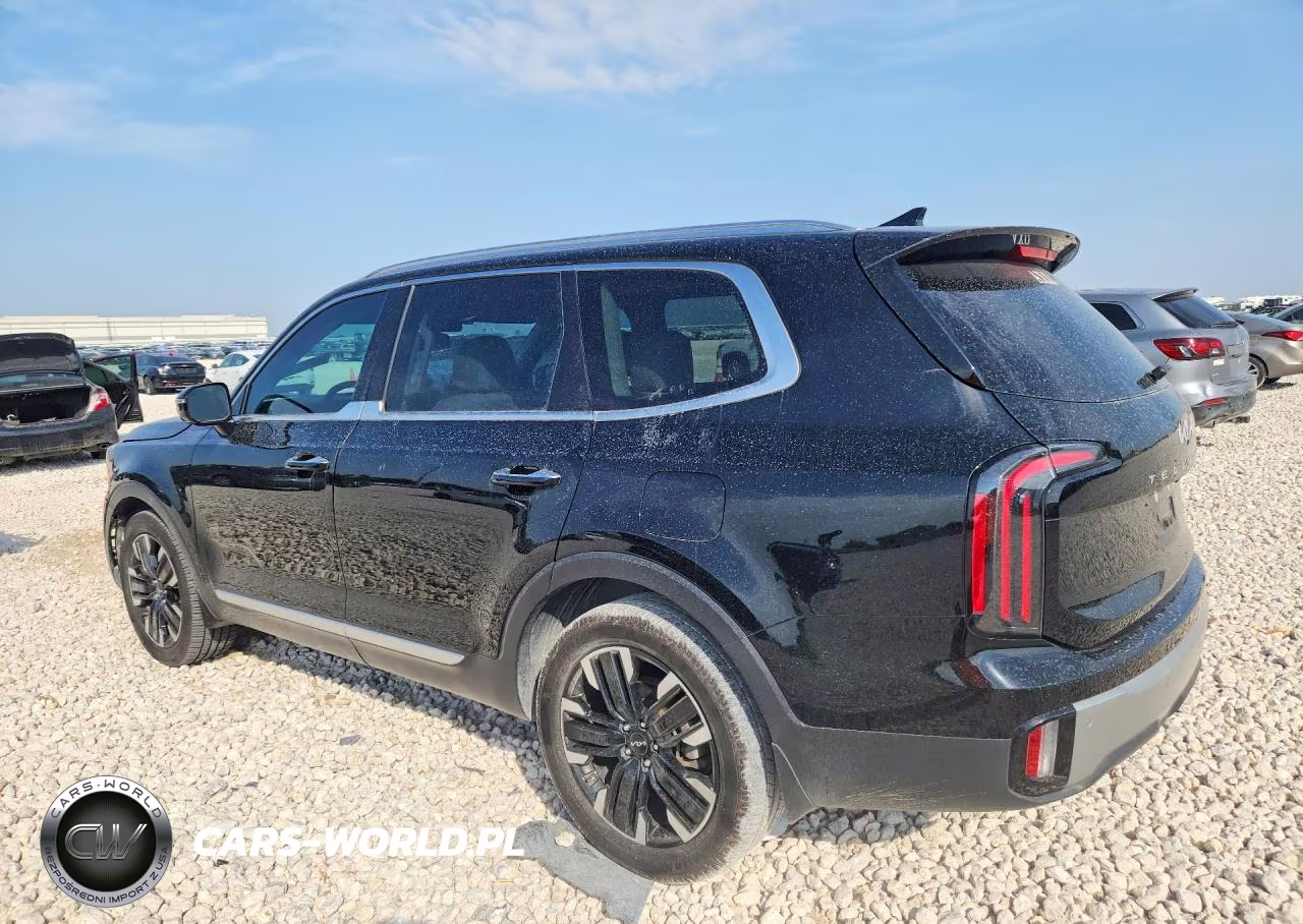2023 Kia Telluride Sx VIN:5XYP54GC9PG354949 - 2