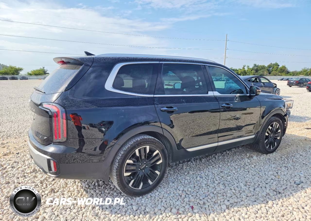 2023 Kia Telluride Sx VIN:5XYP54GC9PG354949 - 3