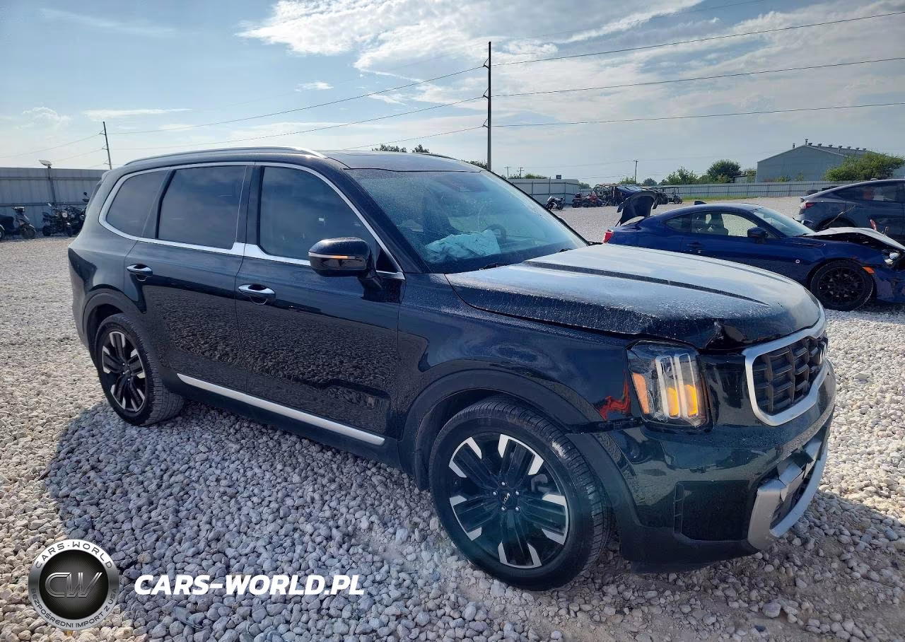 2023 Kia Telluride Sx VIN:5XYP54GC9PG354949 - 4
