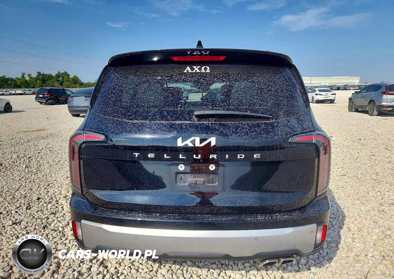 2023 Kia Telluride Sx VIN:5XYP54GC9PG354949 - 6