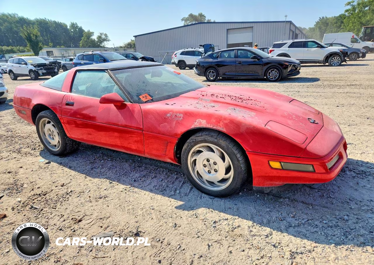 1996 Chevrolet Corvette VIN:1G1YY22P1T5112808 - 4