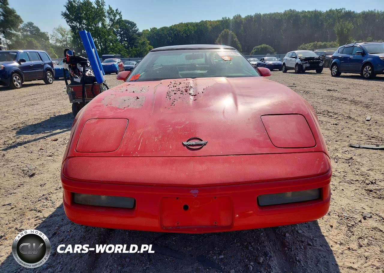 1996 Chevrolet Corvette VIN:1G1YY22P1T5112808 - 5