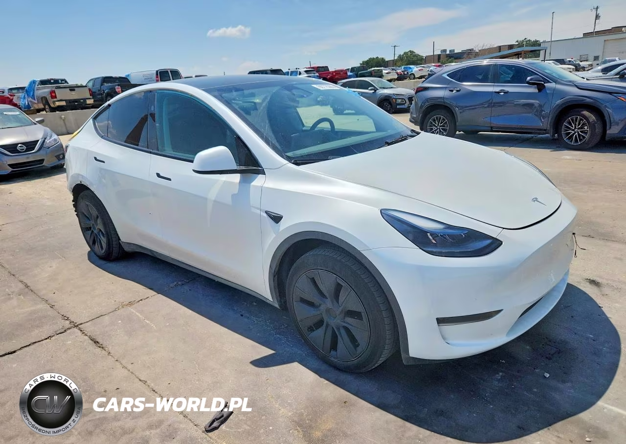 2025 Tesla Model Y VIN:7SAYGDED1SA378818 - 4