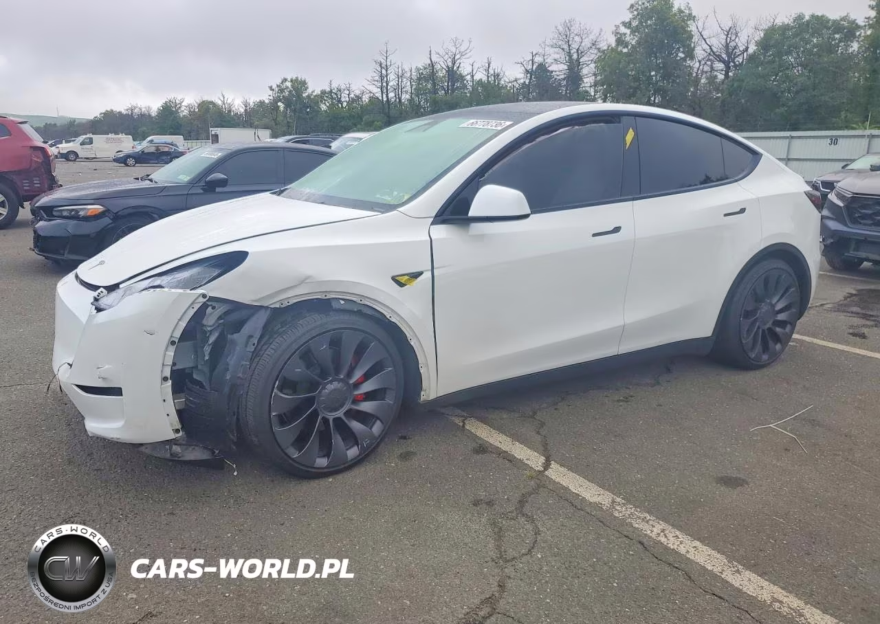 2025 Tesla Model Y VIN:7SAYGDEF2SF312721 - 1