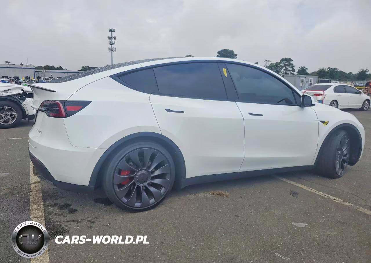 2025 Tesla Model Y VIN:7SAYGDEF2SF312721 - 3
