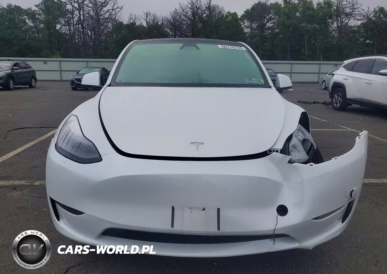 2025 Tesla Model Y VIN:7SAYGDEF2SF312721 - 5