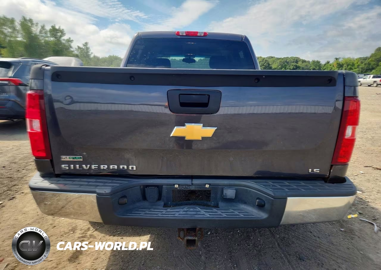 2010 Chevrolet Silverado K1500 Ls VIN:3GCRKREAXAG124250 - 6