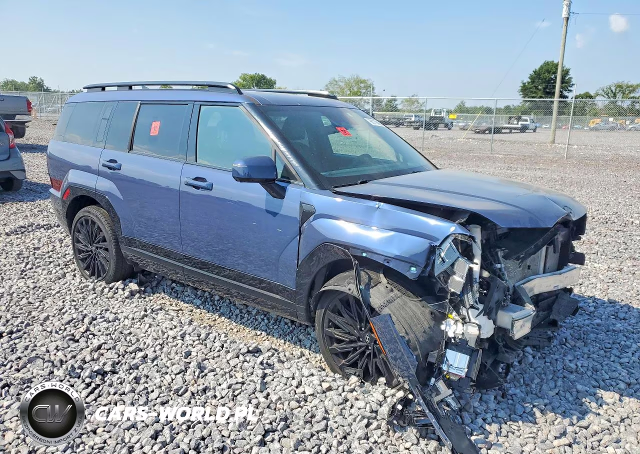 2025 Hyundai Santa Fe Calligraphy VIN:5NMP5DGL7SH070024 - 4