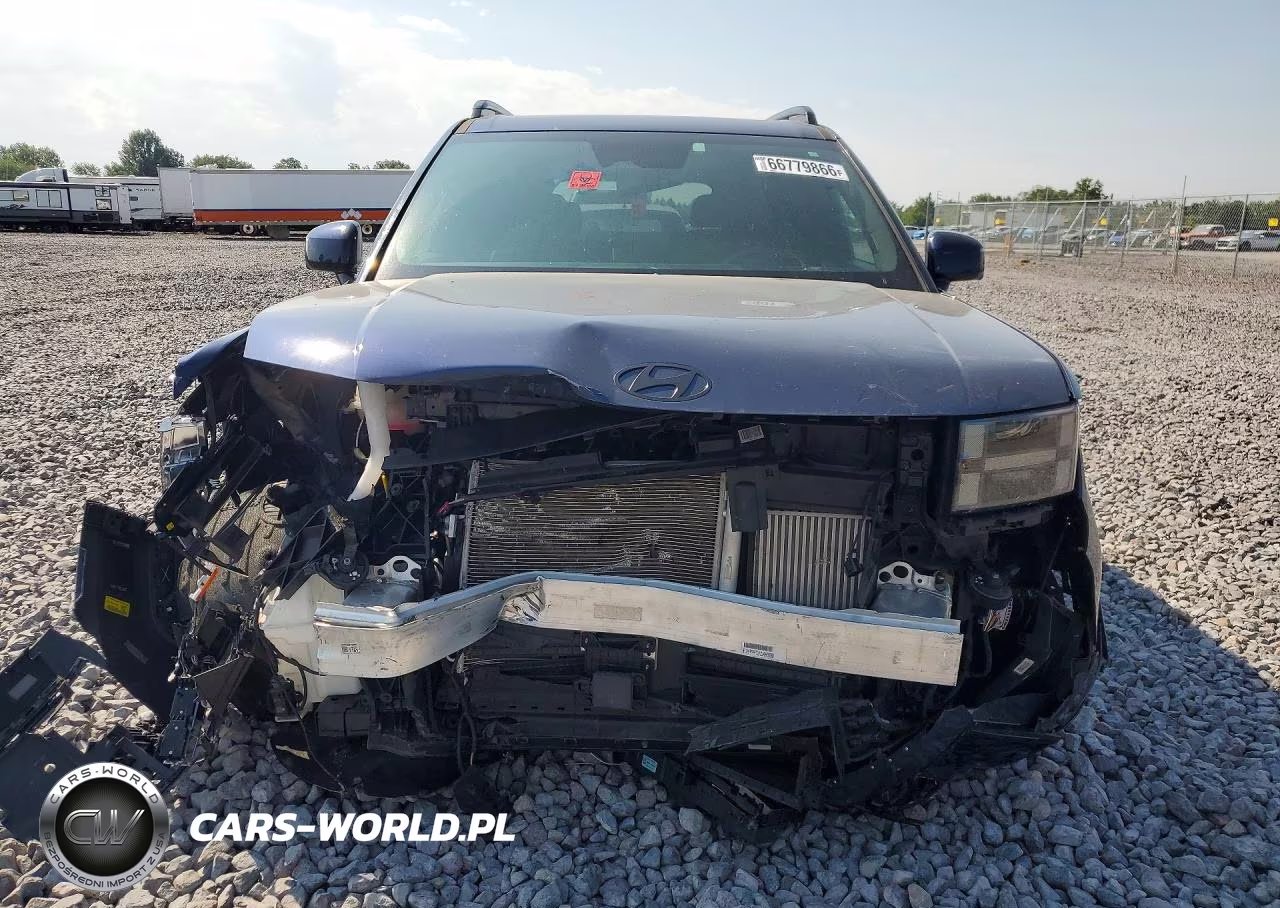 2025 Hyundai Santa Fe Calligraphy VIN:5NMP5DGL7SH070024 - 5
