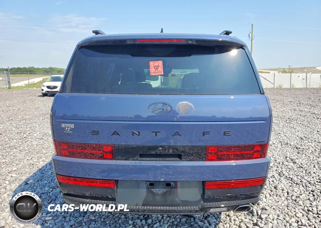 2025 Hyundai Santa Fe Calligraphy VIN:5NMP5DGL7SH070024 - 6