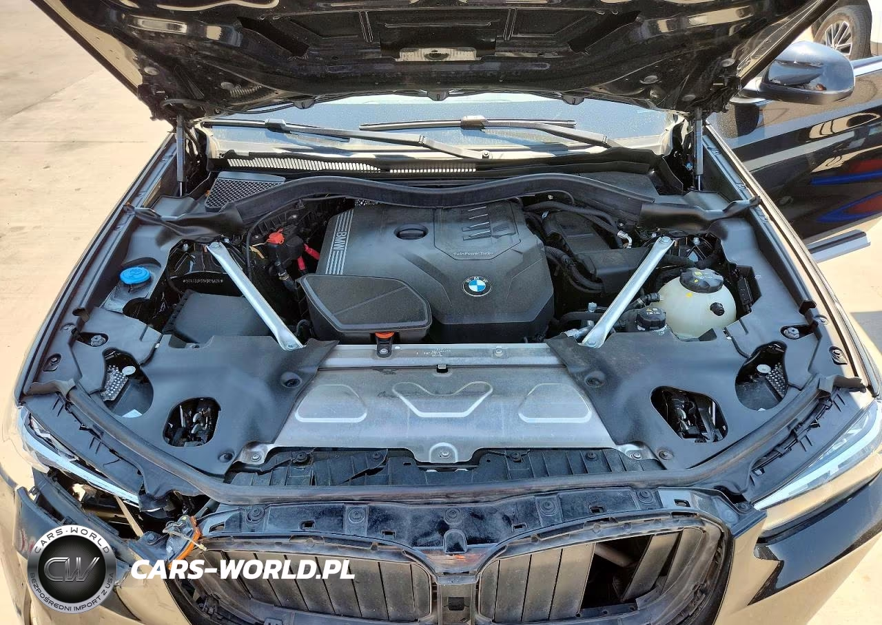 2023 BMW X3 Sdrive30I VIN:5UX43DP02P9R75626 - 12