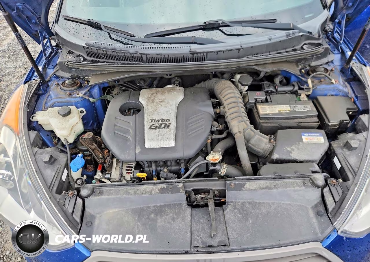 2016 Hyundai Veloster Turbo VIN:KMHTC6AE4GU302083 - 11