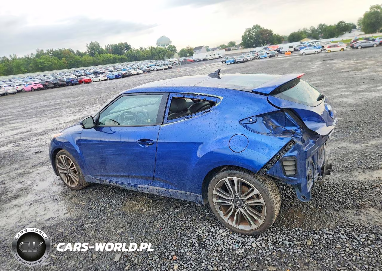 2016 Hyundai Veloster Turbo VIN:KMHTC6AE4GU302083 - 2