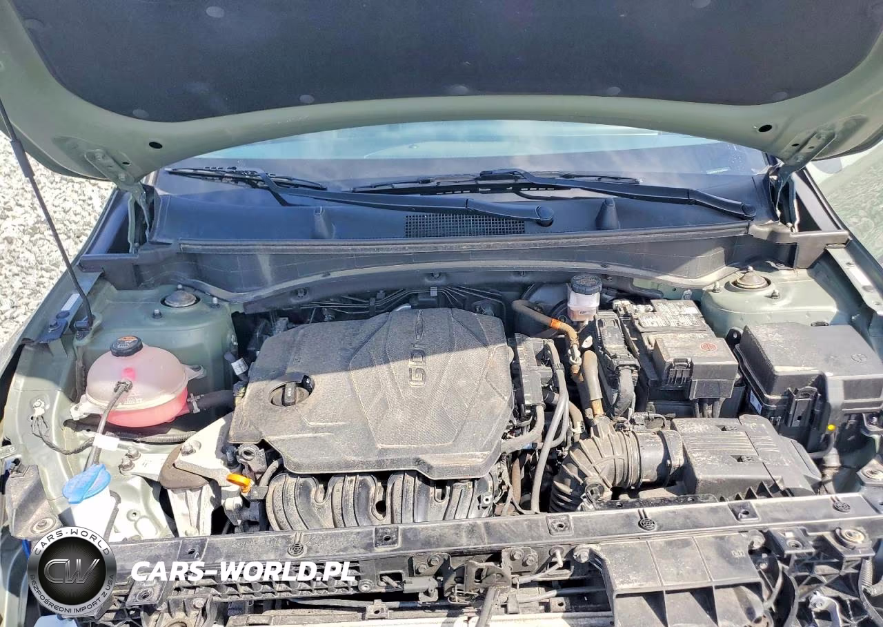 2023 Kia Sportage X-Pro VIN:5XYK7CAF7PG070186 - 12