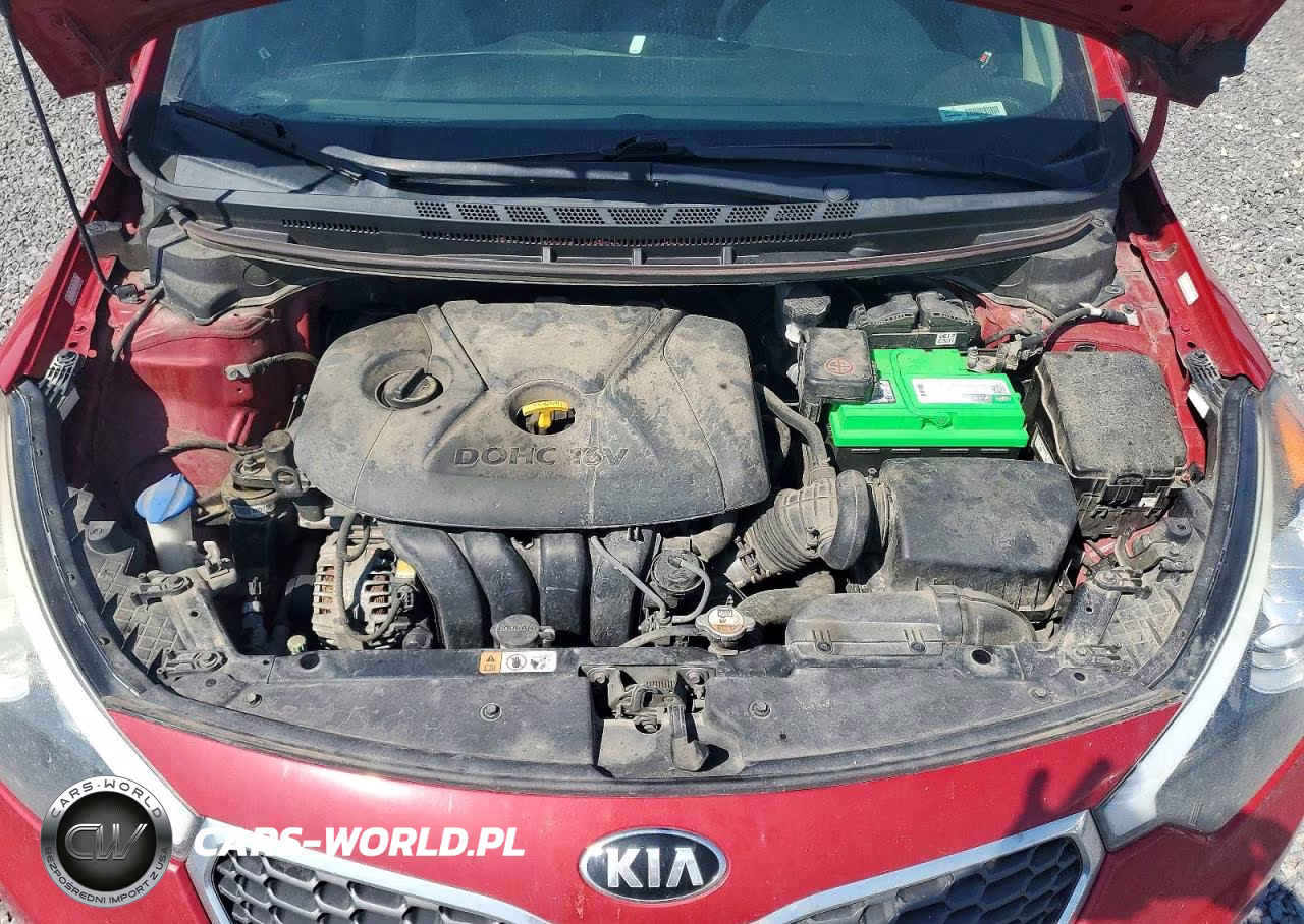 2016 Kia Forte Lx VIN:KNAFK4A67G5568075 - 11