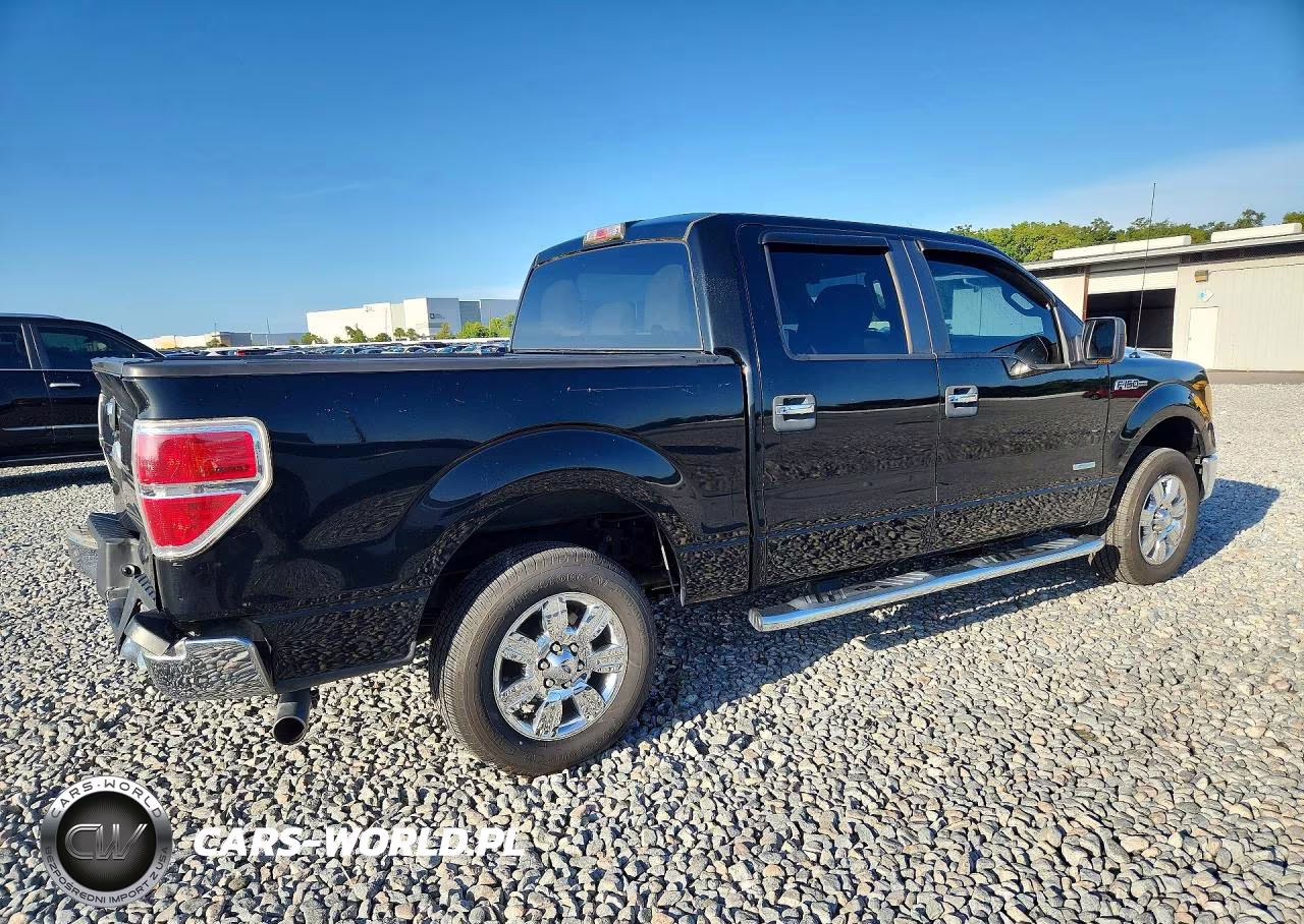 2011 Ford F150 Supercrew VIN:1FTFW1CT1BFC18033 - 3