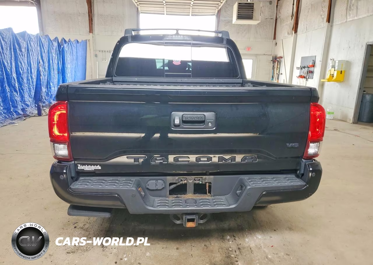 2019 Toyota Tacoma Trd Off-Road VIN:5TFCZ5AN1KX199905 - 6