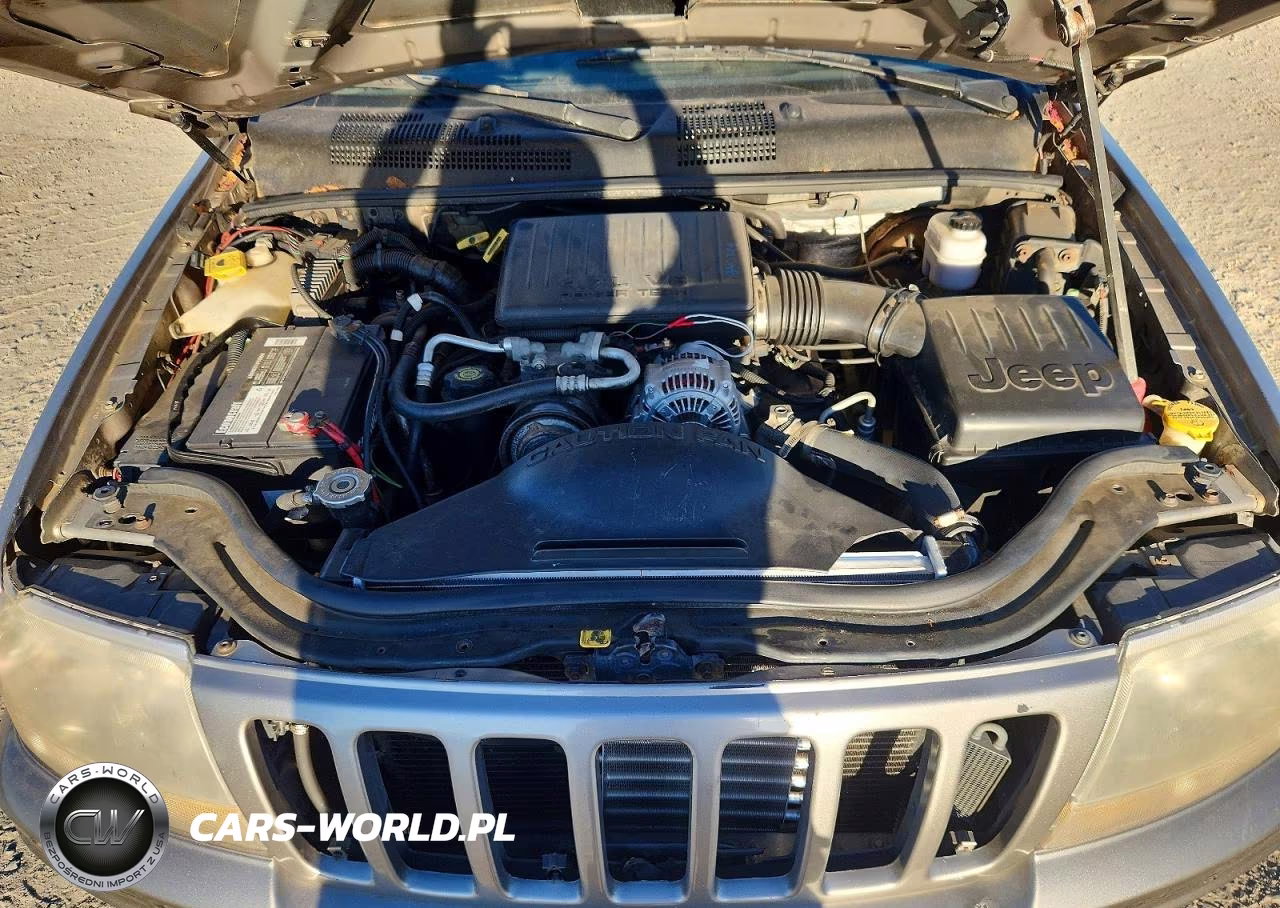 1999 Jeep Grand Cherokee Limited VIN:1J4GW68N7XC808056 - 12