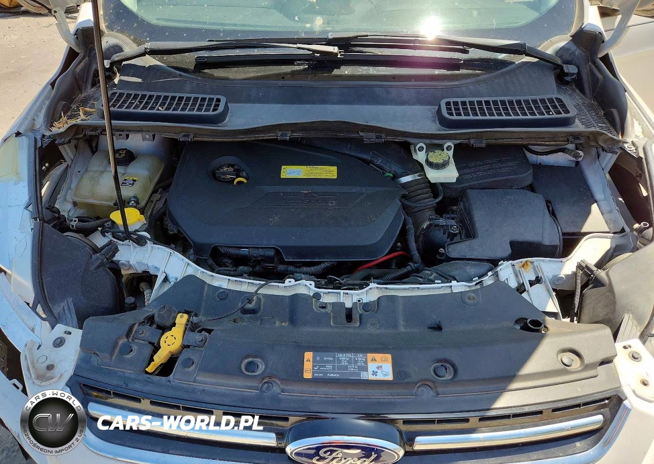 2013 Ford Escape Sel VIN:1FMCU0HX3DUD53510 - 12