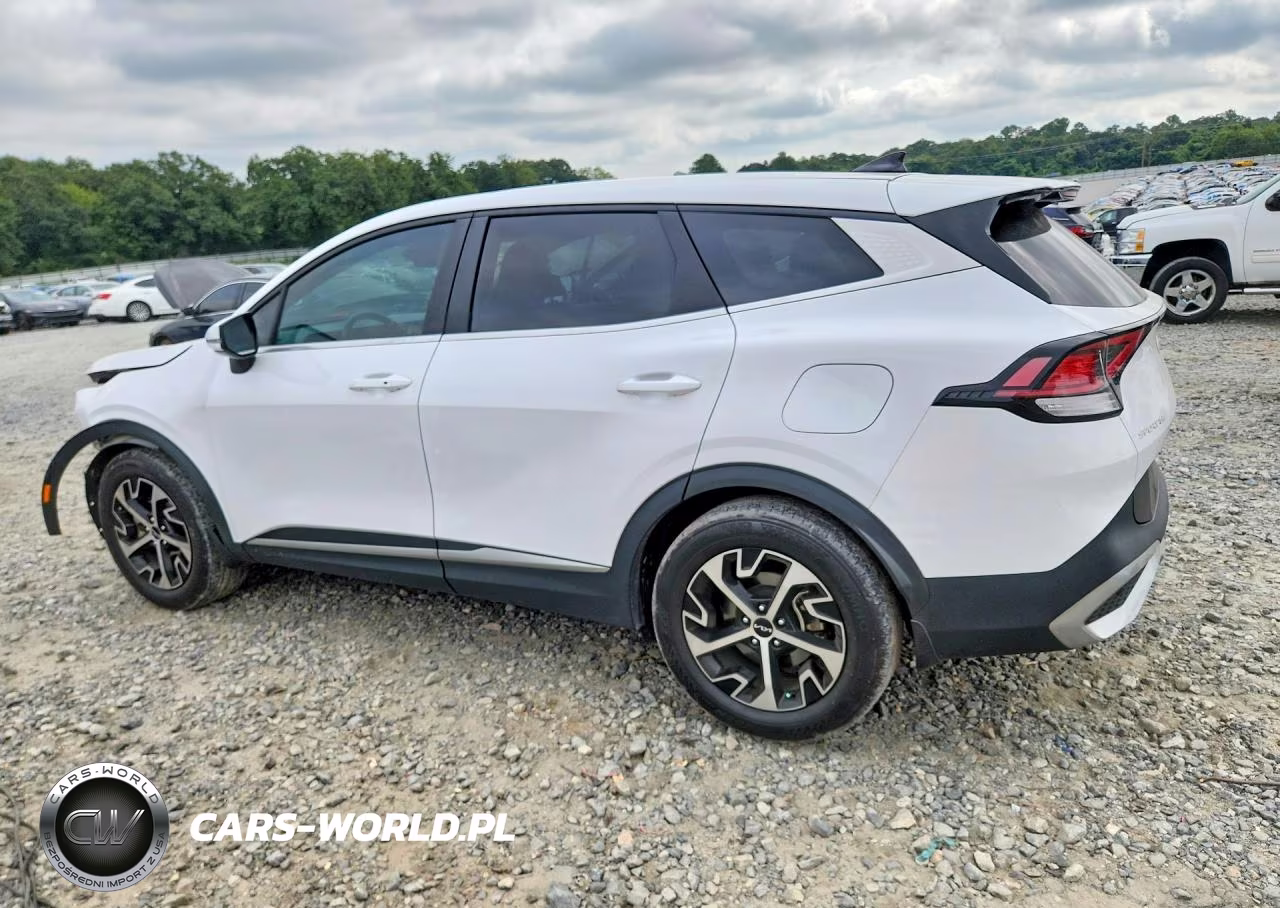 2024 Kia Sportage Ex VIN:5XYK33DF5RG151066 - 2